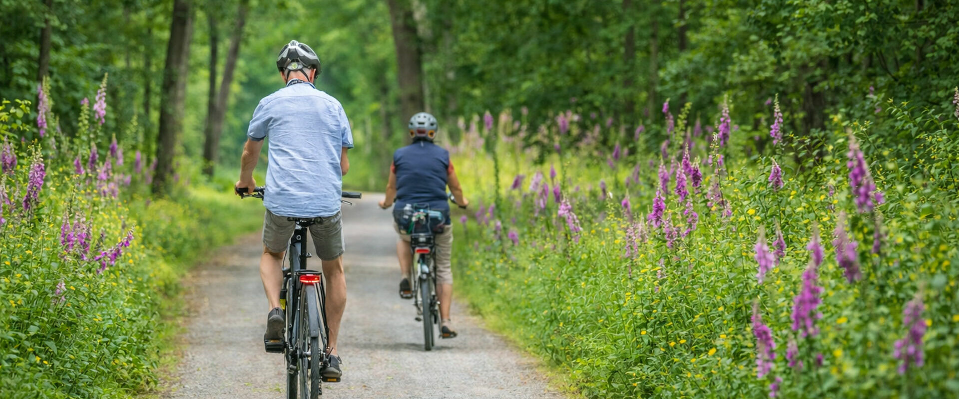 Bike Experience sul Lago di Garda