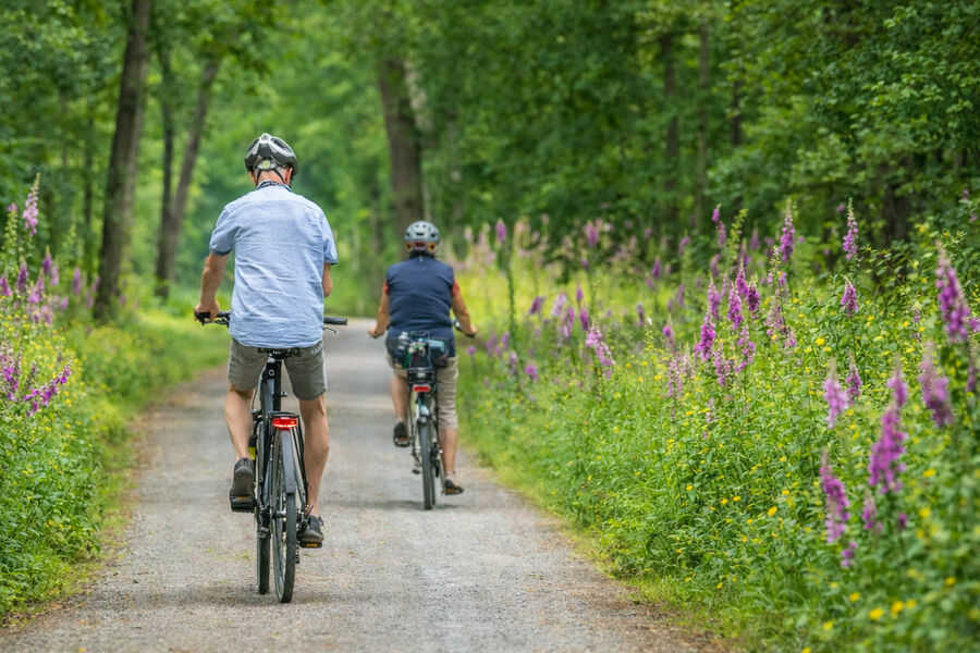 Bike Experience sul Lago di Garda